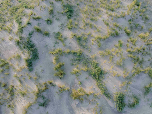 Aerial coastal dune fine art photograph with sand and beach grass
